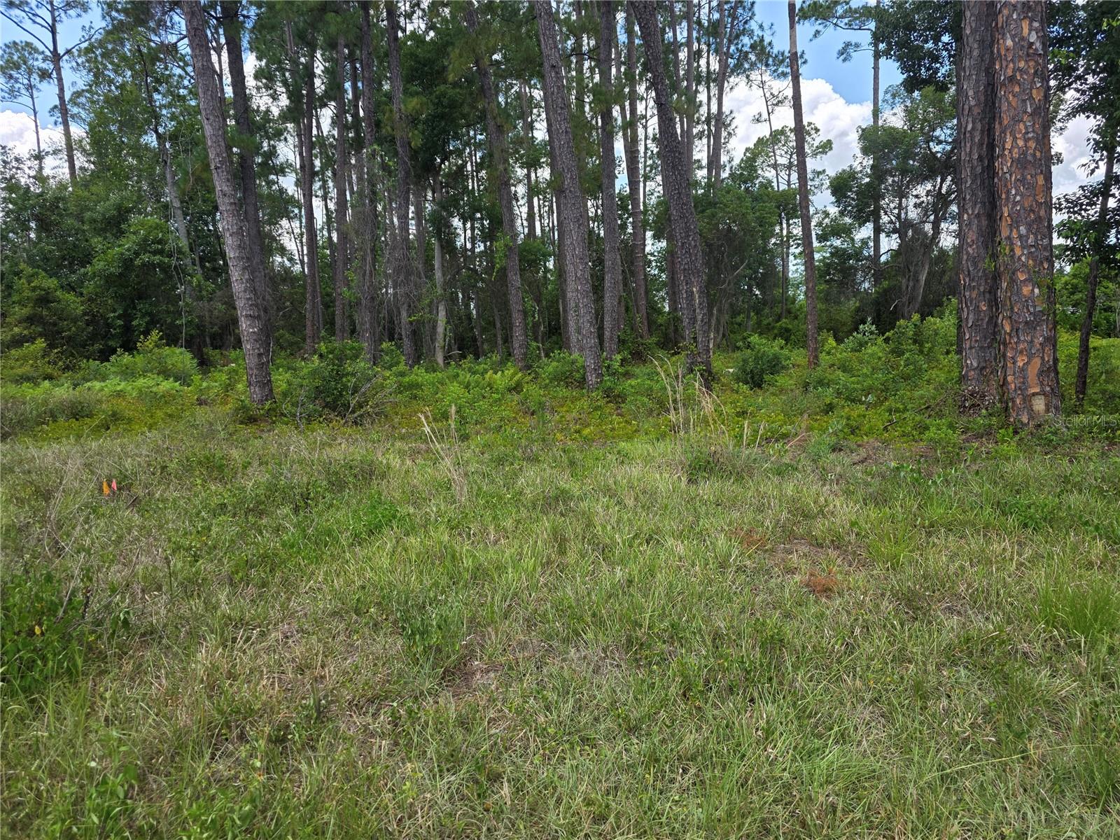 Image 6 of 26 For 1480, 1478, 1476 6th Avenue