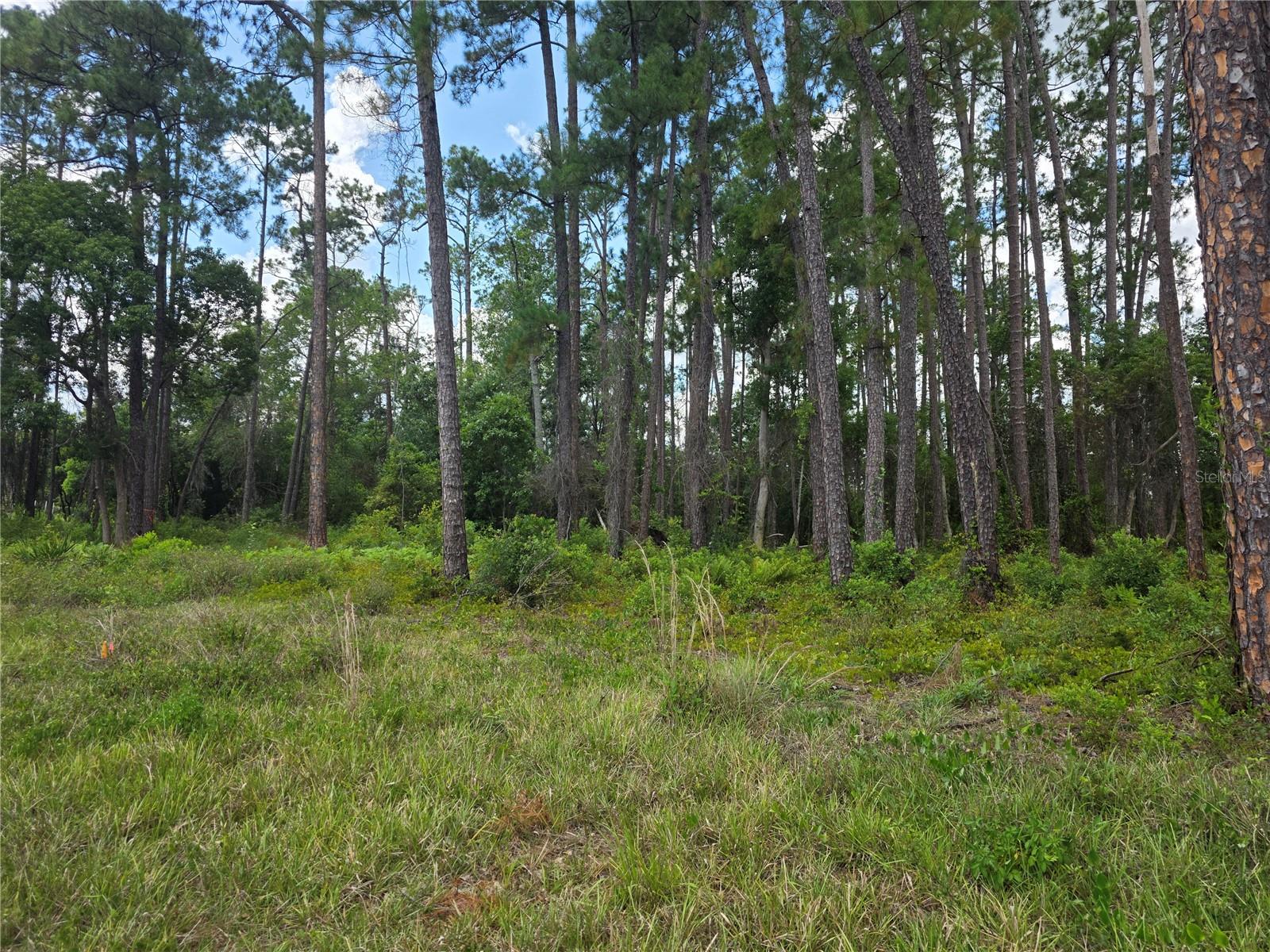 Image 7 of 26 For 1480, 1478, 1476 6th Avenue