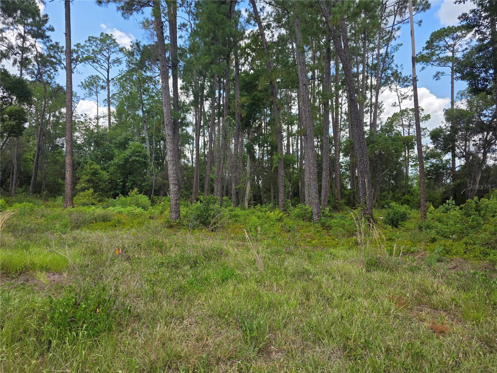 Image 8 of 26 For 1480, 1478, 1476 6th Avenue