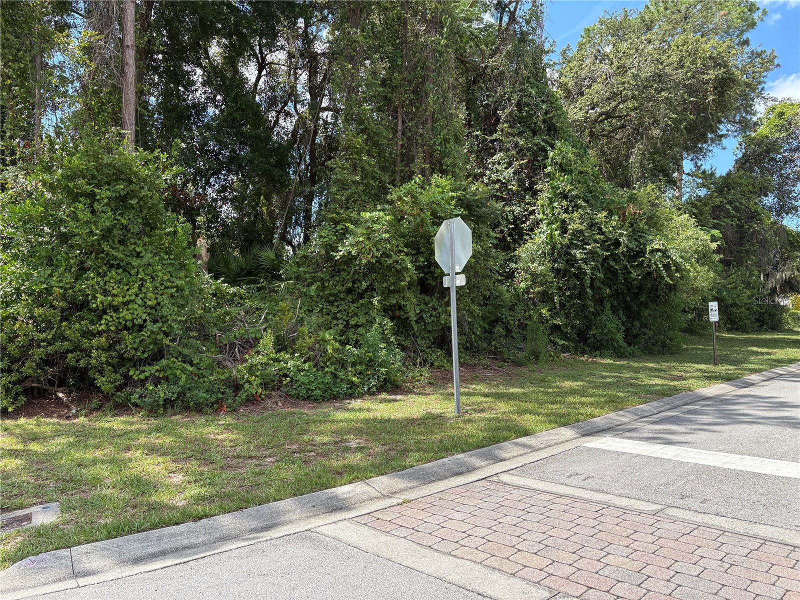 Image 6 of 8 For Haversham Road