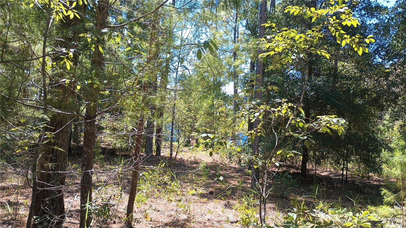 Image 23 of 23 For 131 Franklin Drive