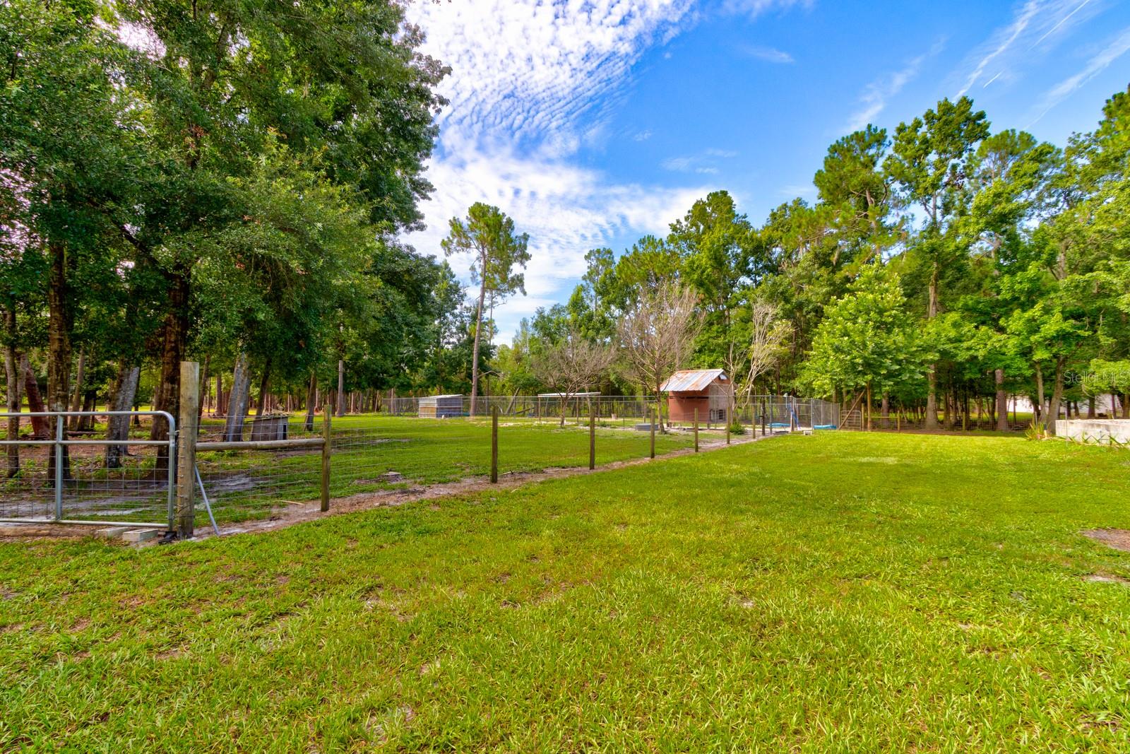 Image 36 of 59 For 1135 Peterson Road