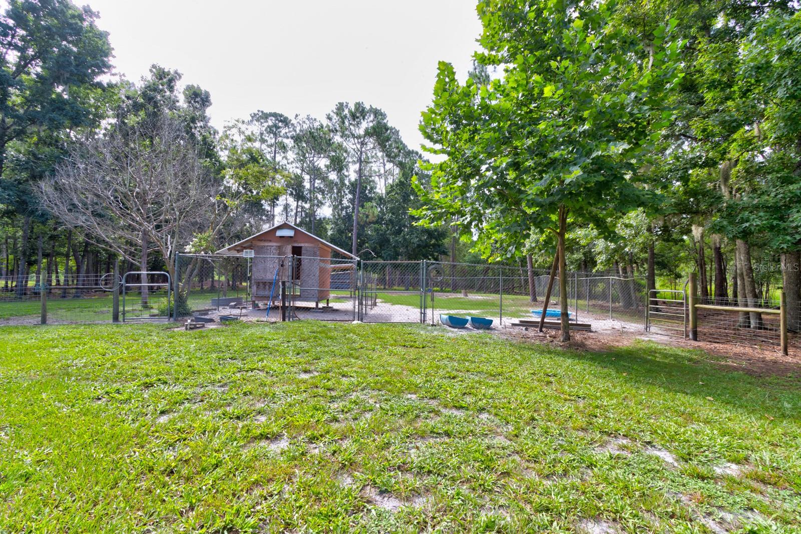 Image 37 of 59 For 1135 Peterson Road