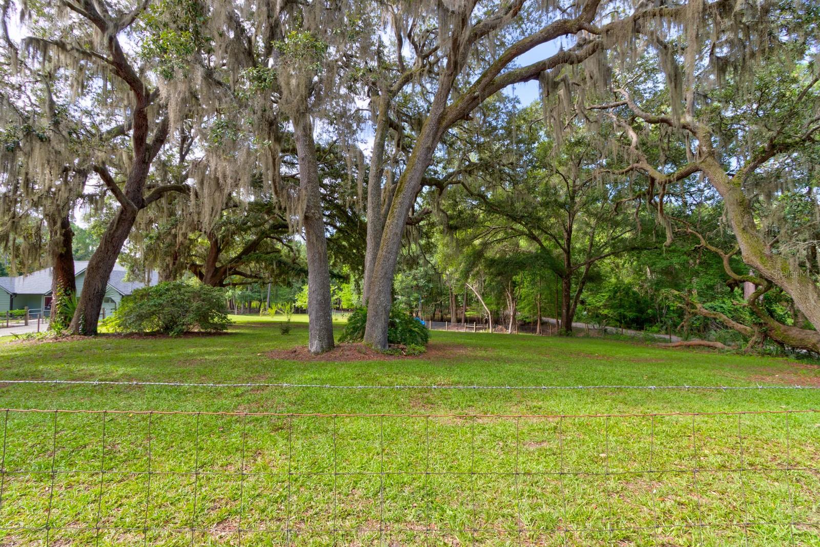 Image 38 of 59 For 1135 Peterson Road