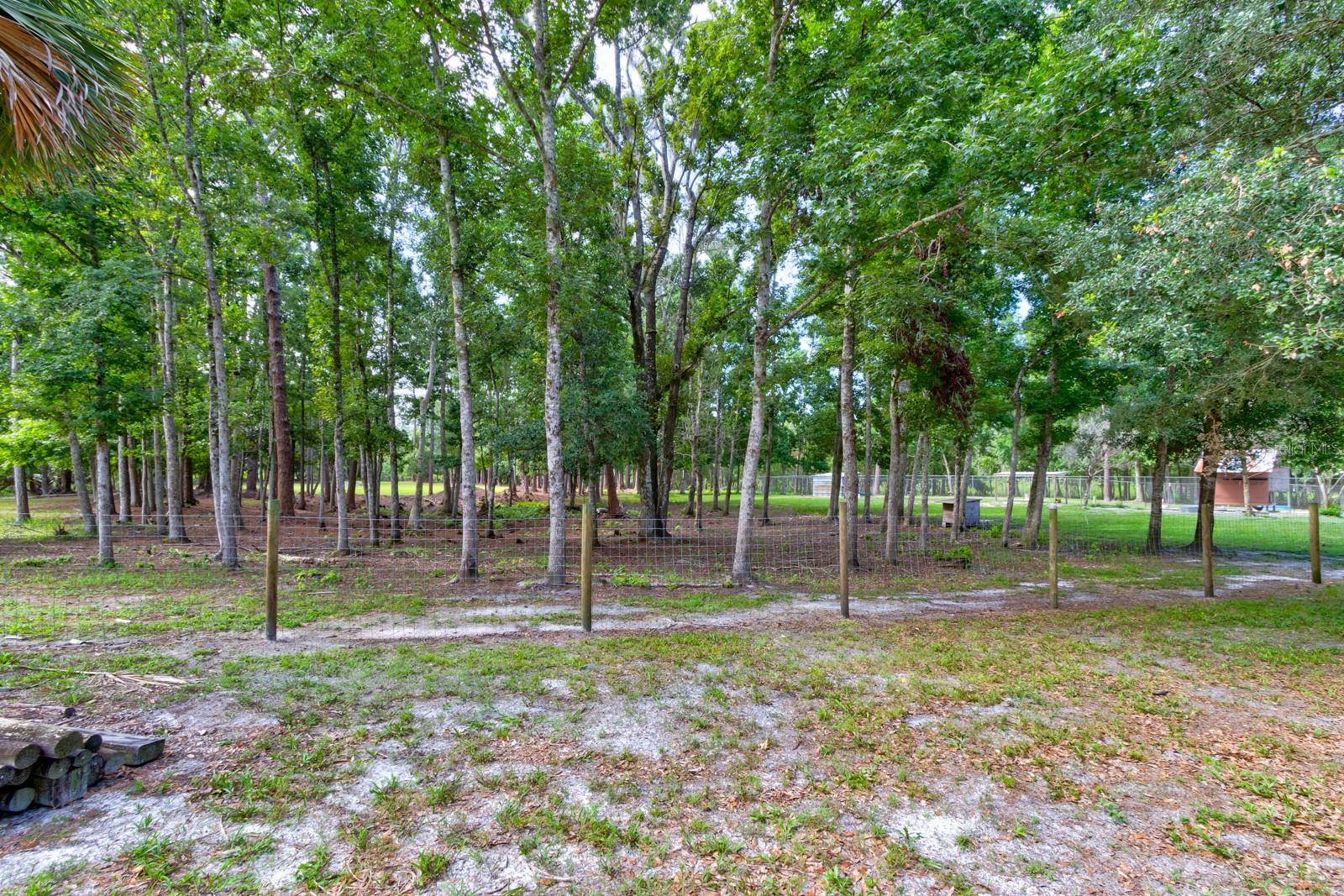 Image 49 of 59 For 1135 Peterson Road