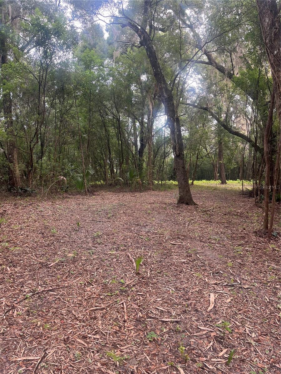 Image 4 of 6 For Oak Valley Drive