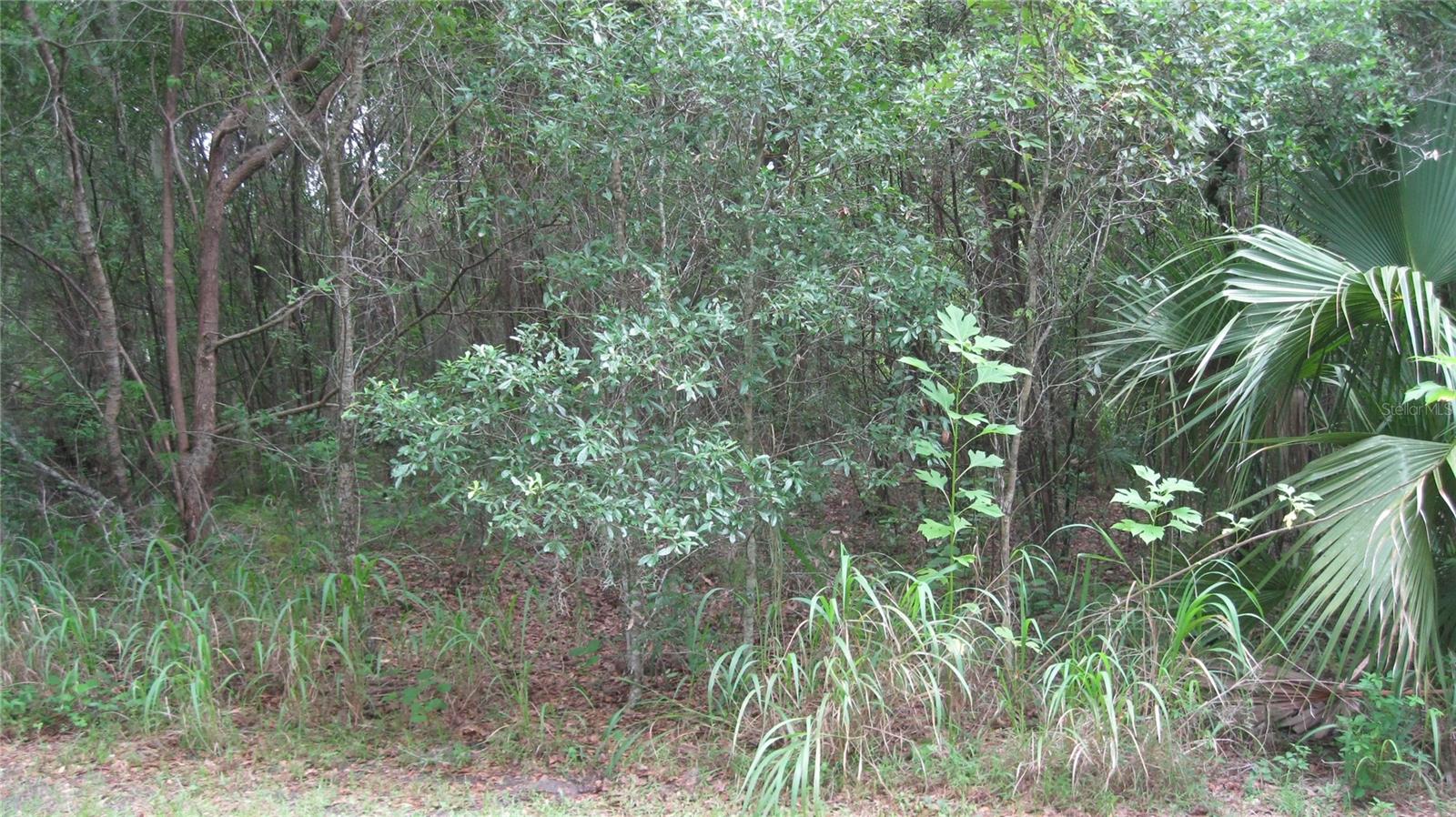 Image 5 of 6 For Oak Valley Drive