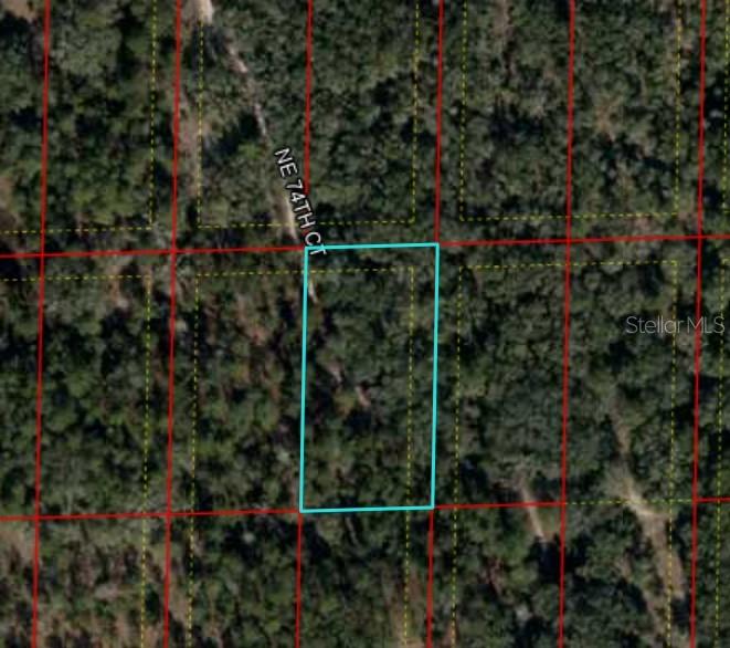 Listing Details for  Bronson, Fl  , BRONSON, FL 32621