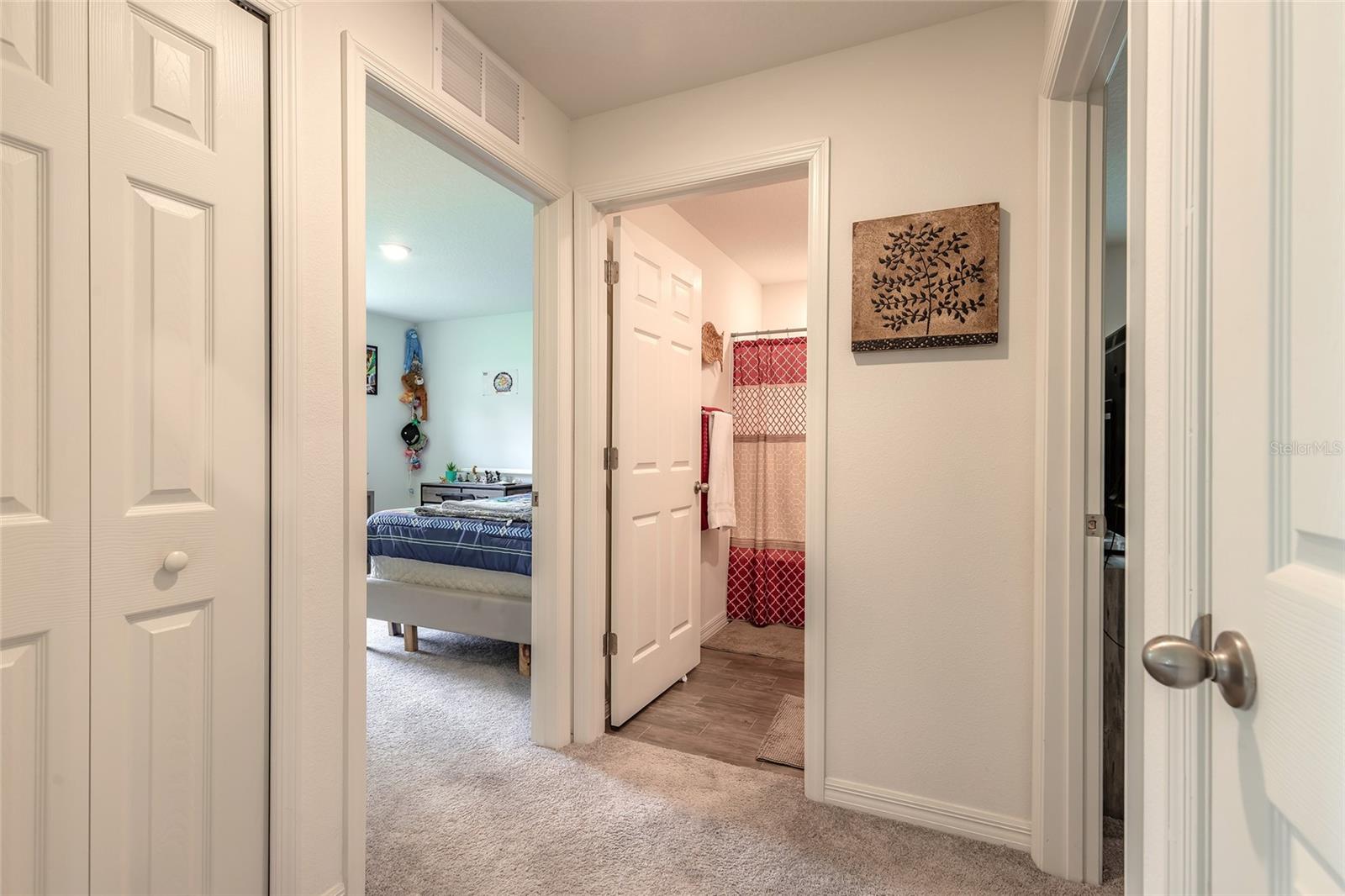 Image 10 of 50 For 49 Llama Trail