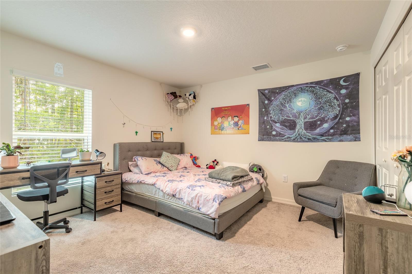 Image 7 of 50 For 49 Llama Trail