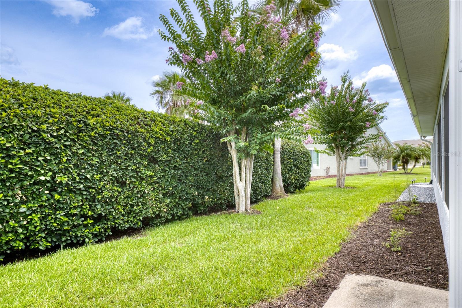 Image 38 of 60 For 1636 Areca Palm Dr