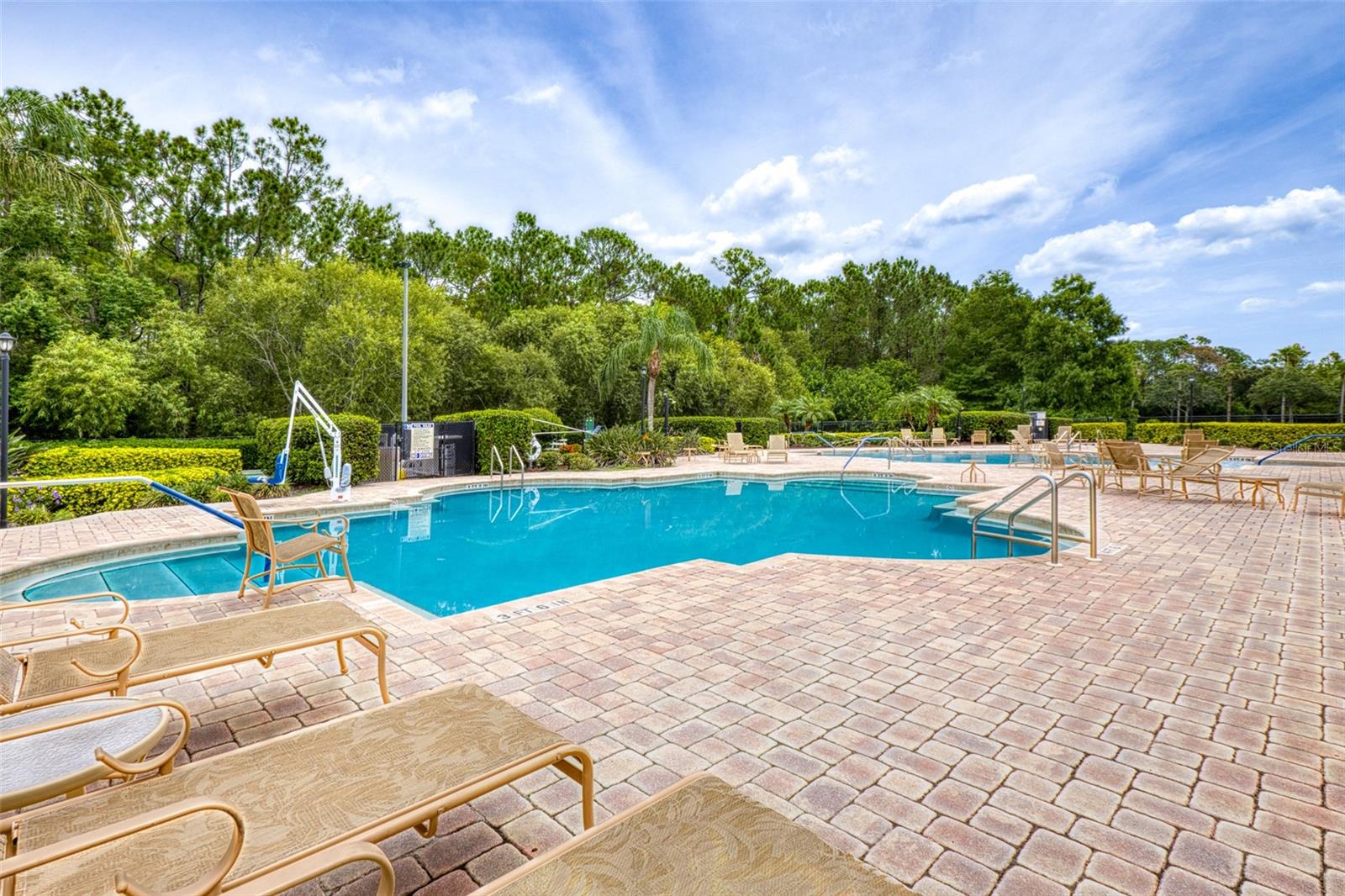 Image 50 of 60 For 1636 Areca Palm Dr