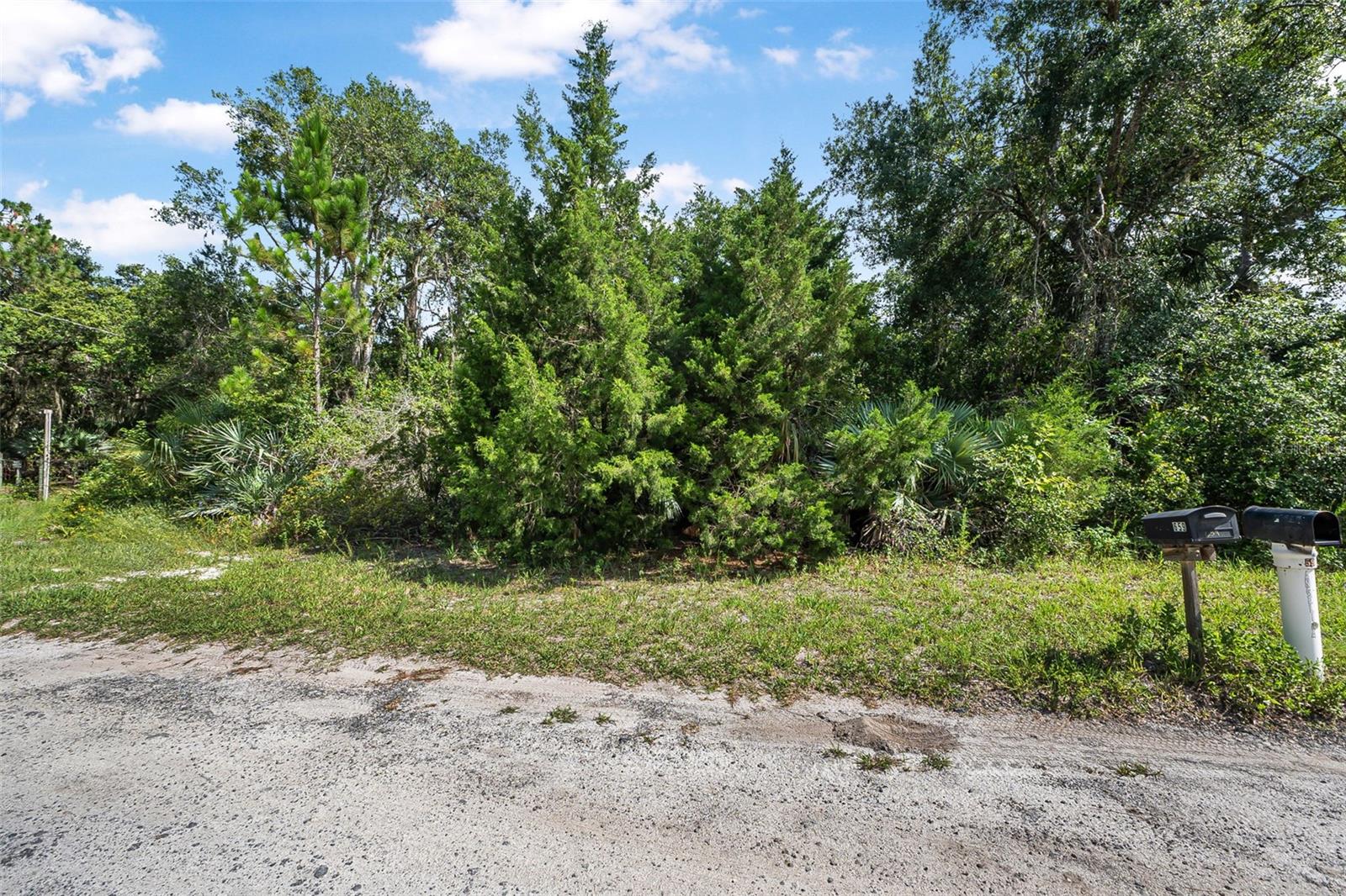 Details for 0 No Street Name, OAK HILL, FL 32759