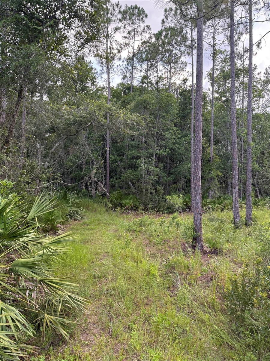Image 3 of 5 For 1505 County Road 13
