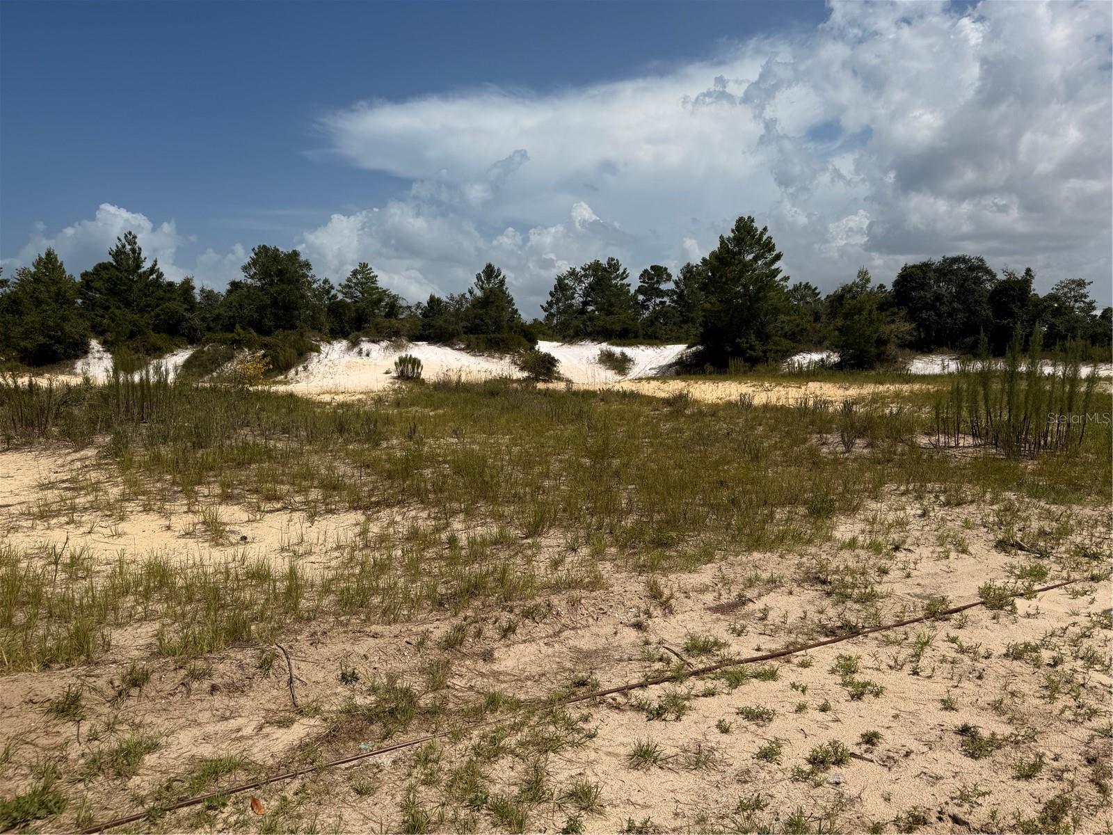 Listing photo id 42 for 106 Shrine Club Road