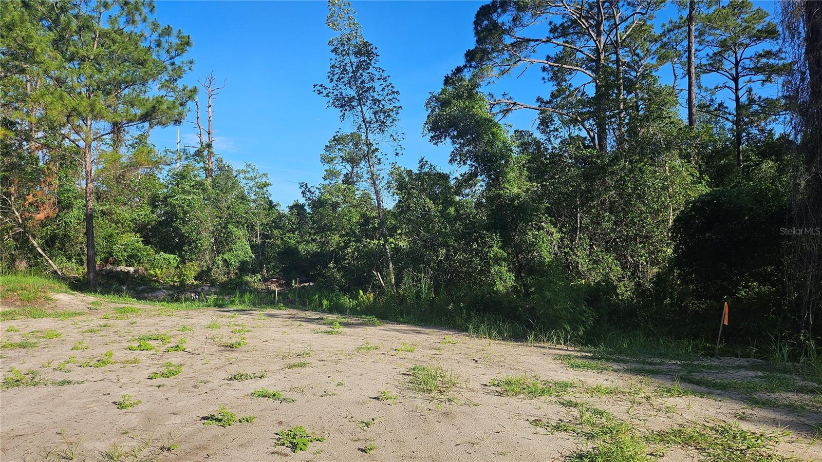 Image 5 of 13 For 1224 10th Avenue