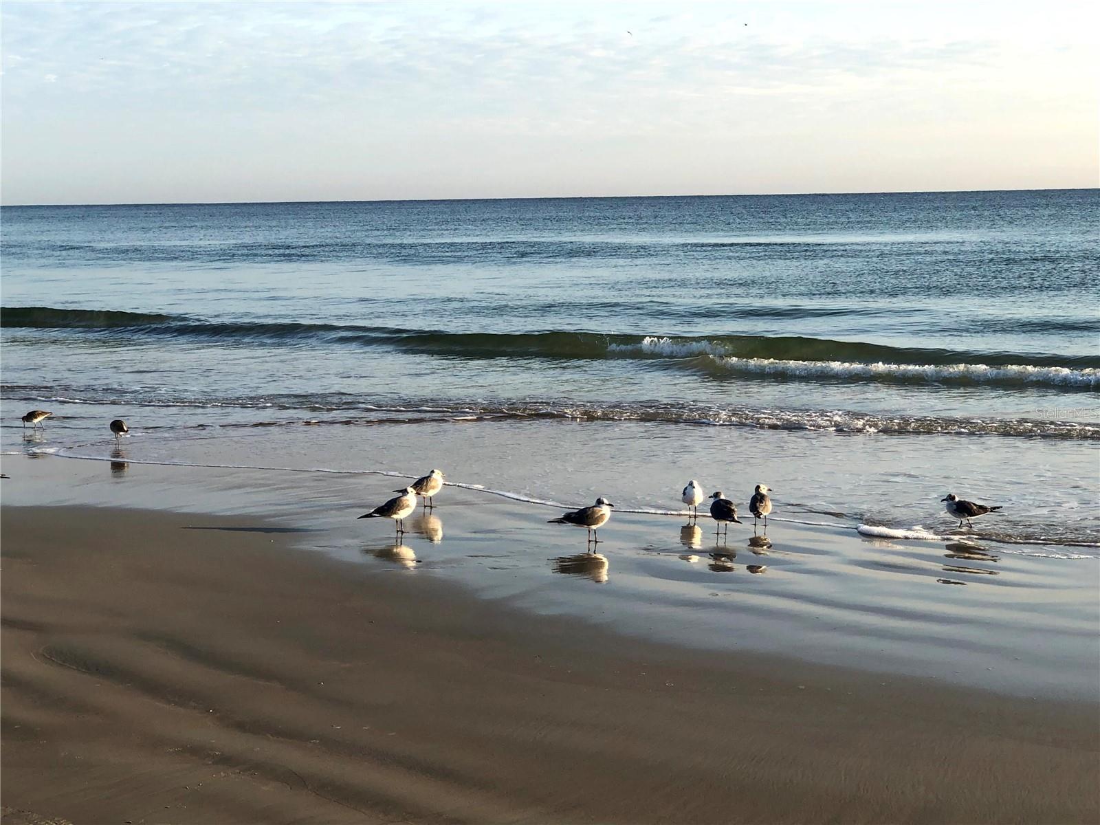 Image 59 of 59 For 2900 Atlantic Avenue 1405