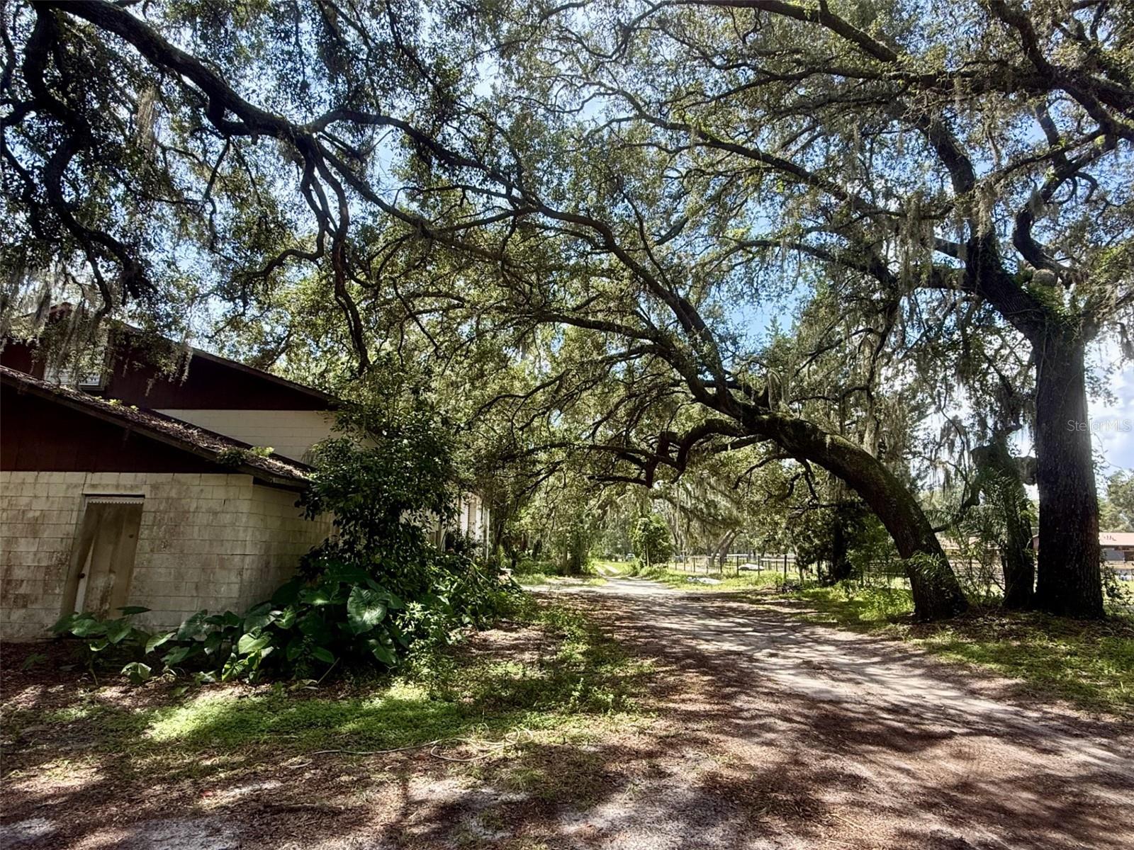 Details for 2555 Place Pond Road, DE LEON SPRINGS, FL 32130