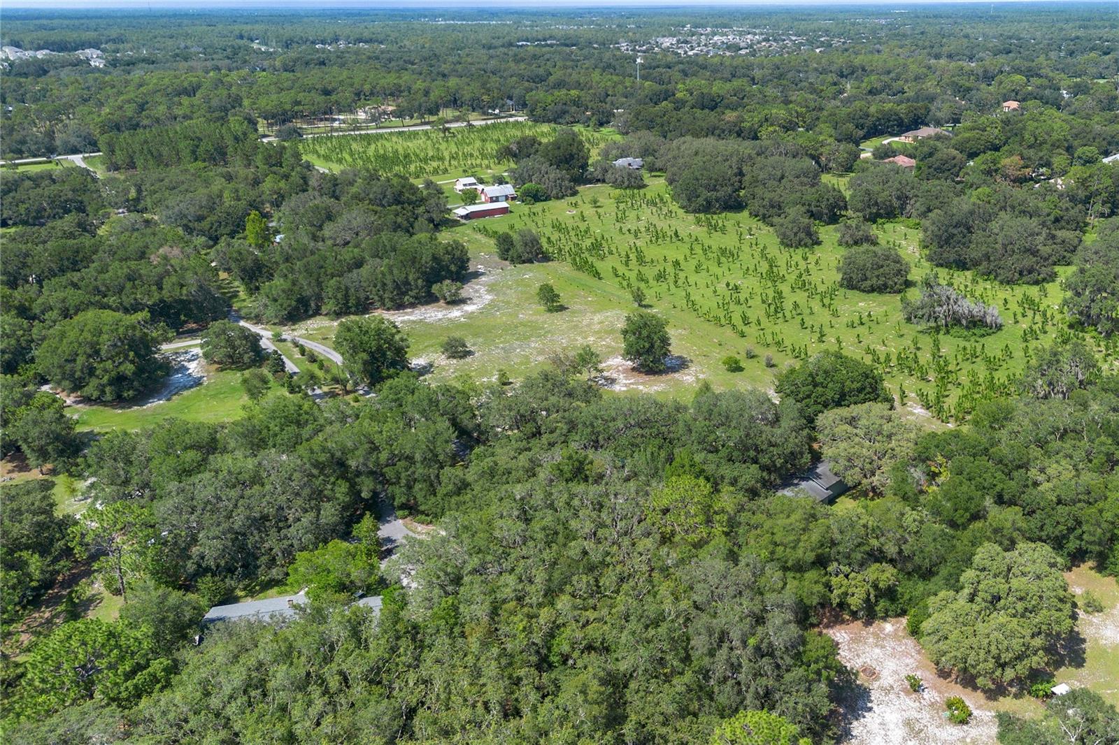 Image 51 of 72 For 1741 Alanson Drive