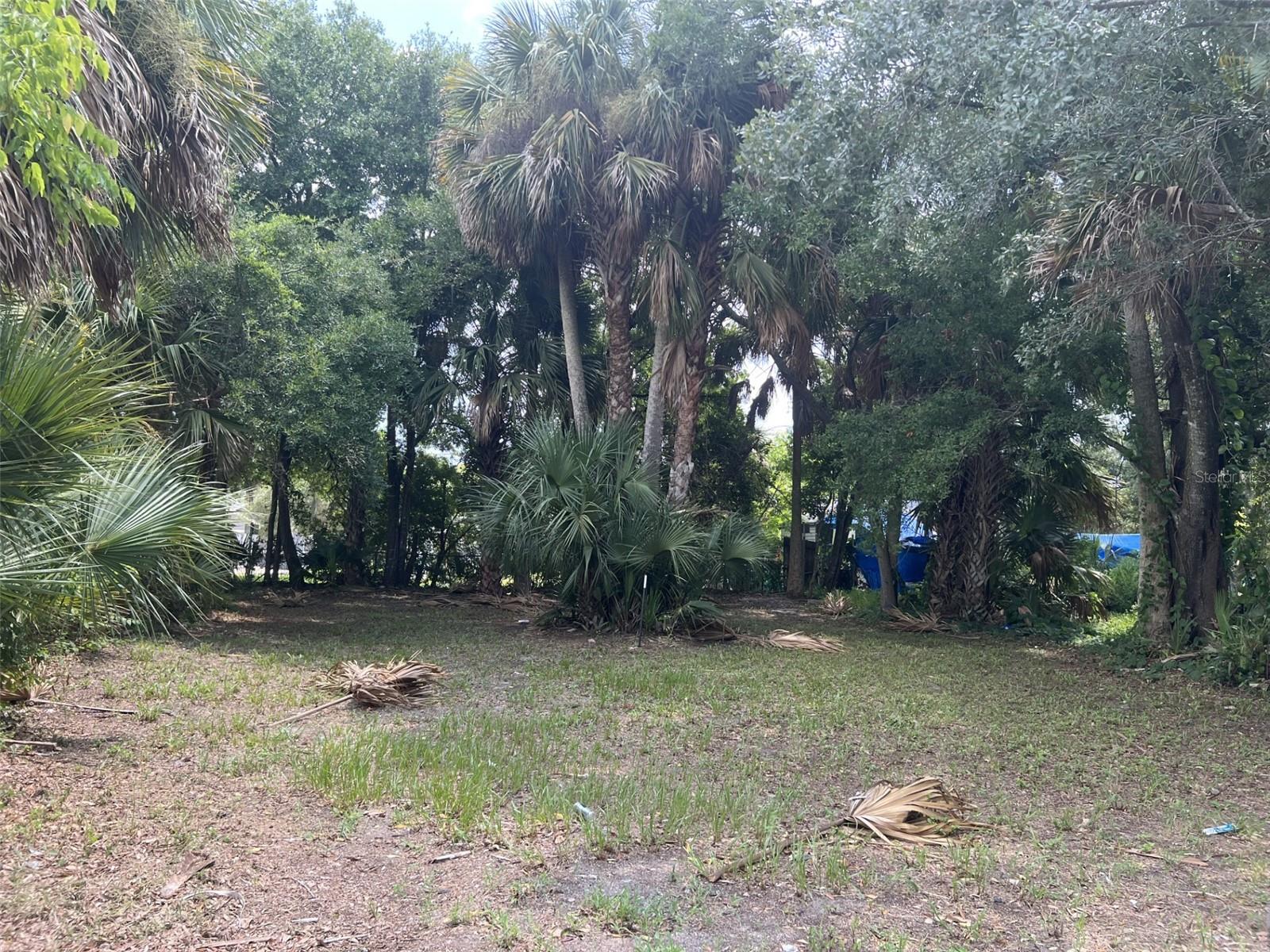 Listing Details for 321 Rose Avenue, DAYTONA BEACH, FL 32114