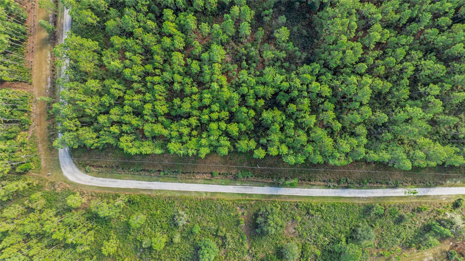 Image 8 of 9 For 2 Wild Cur Road