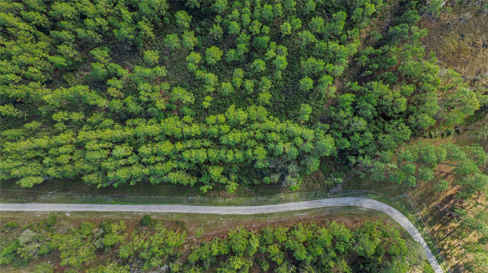 Image 9 of 9 For 1 Wild Cur Road