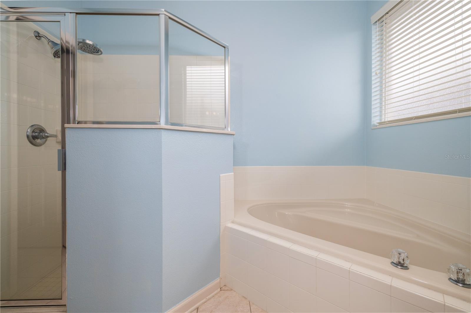 Image 22 of 44 For 107 Wethersfield Court