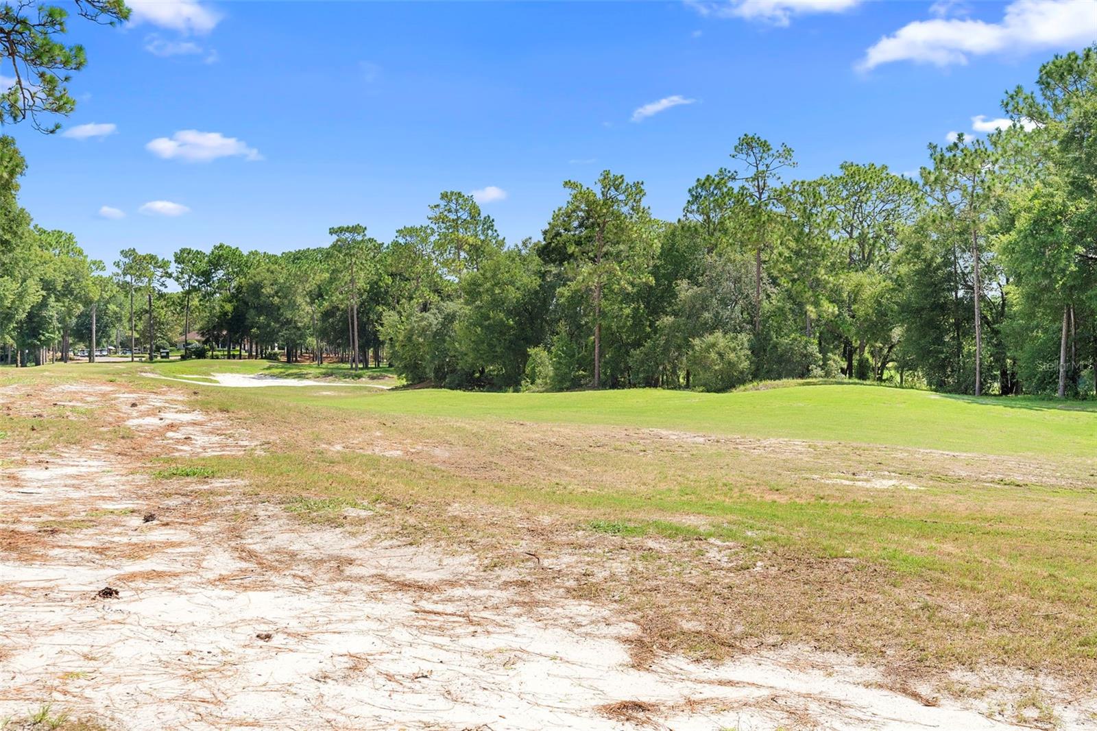 Image 3 of 54 For 119 Pennyroyal Lane