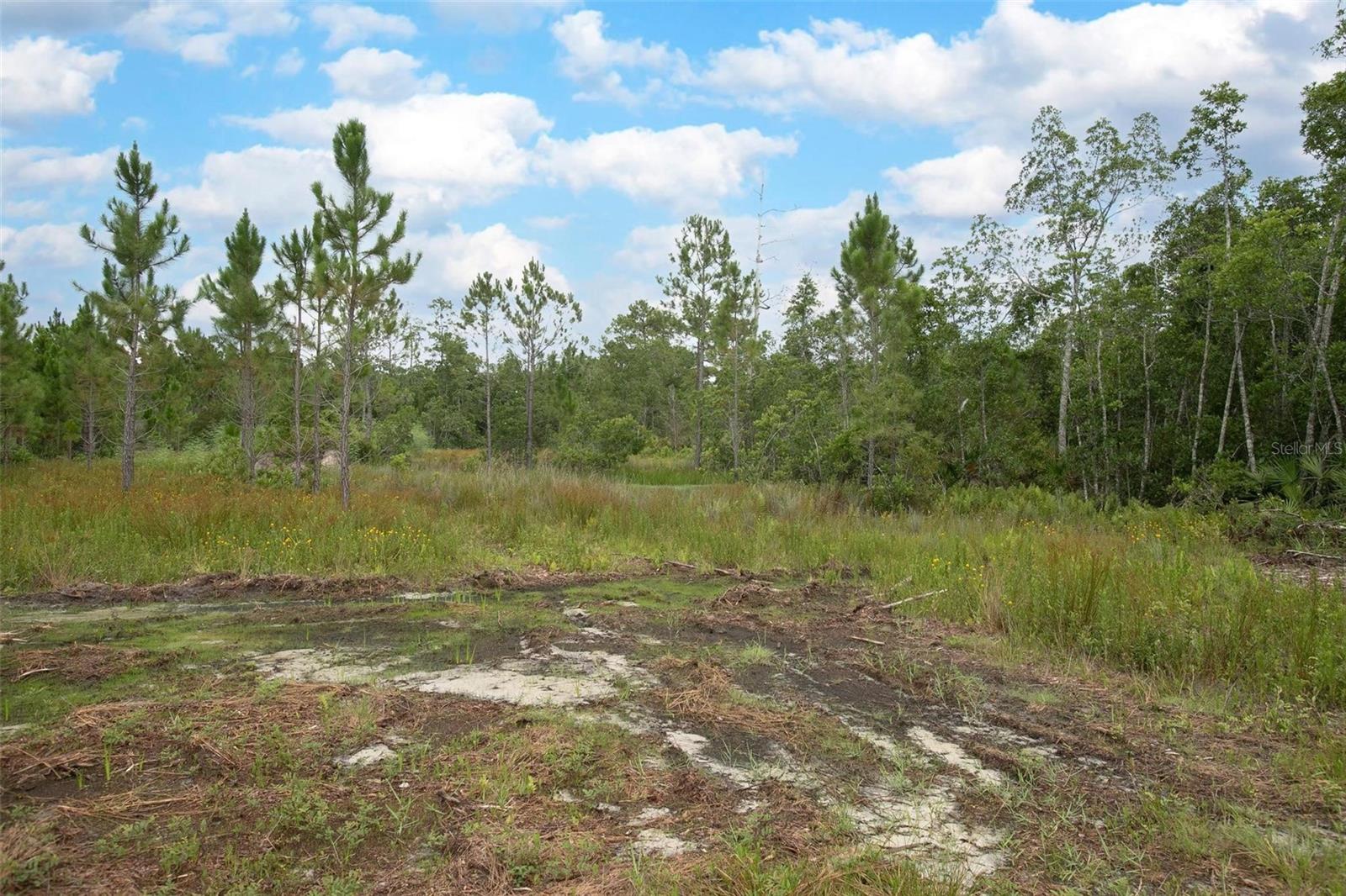 Image 11 of 28 For Commanders Way