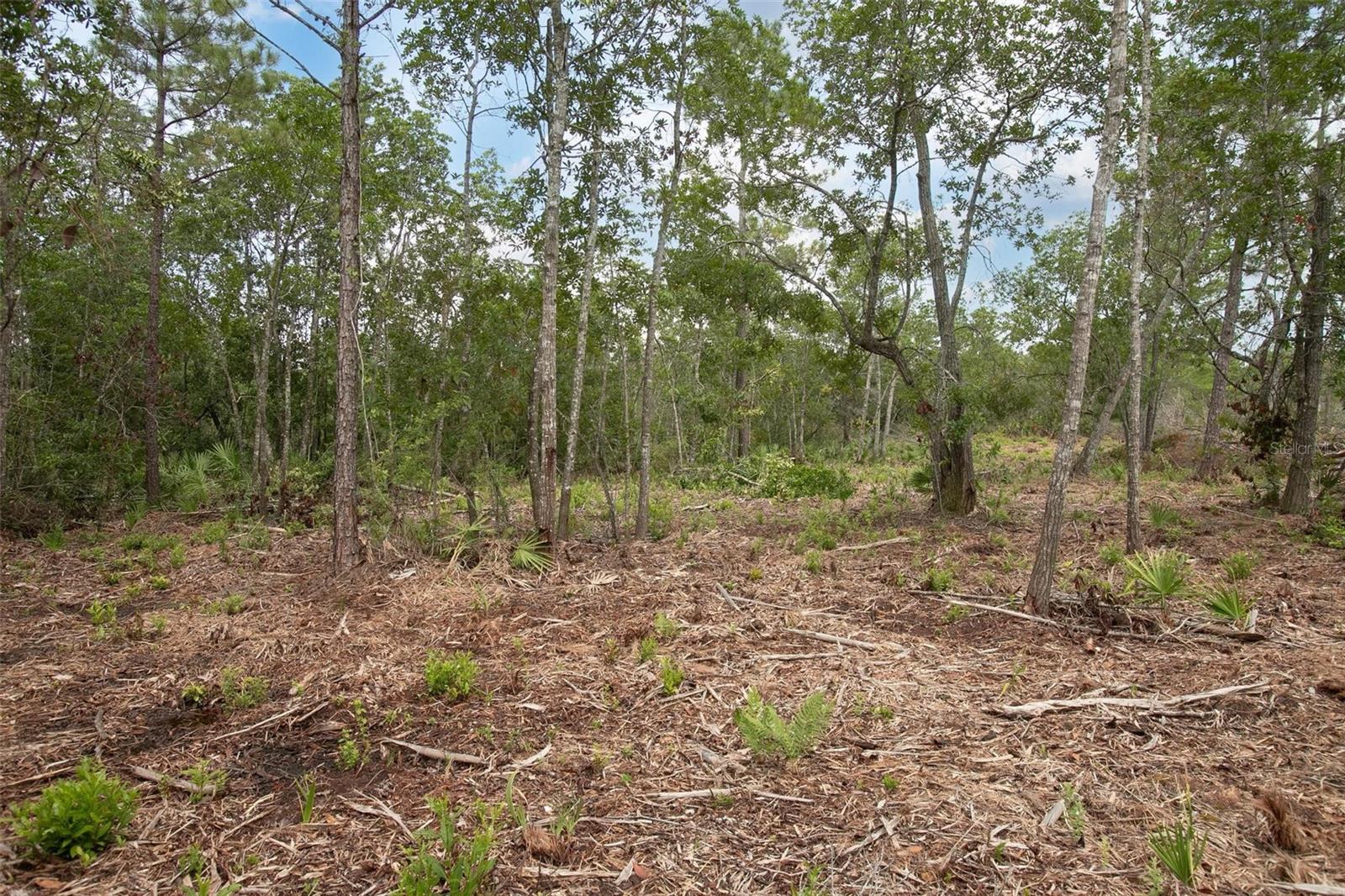 Image 12 of 28 For Commanders Way