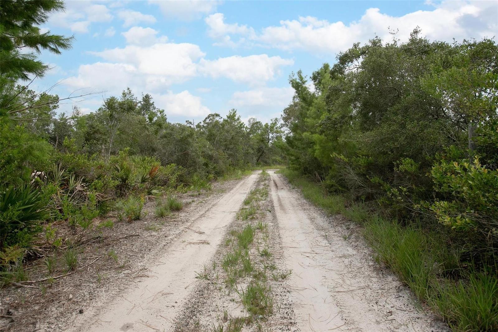 Image 4 of 28 For Commanders Way