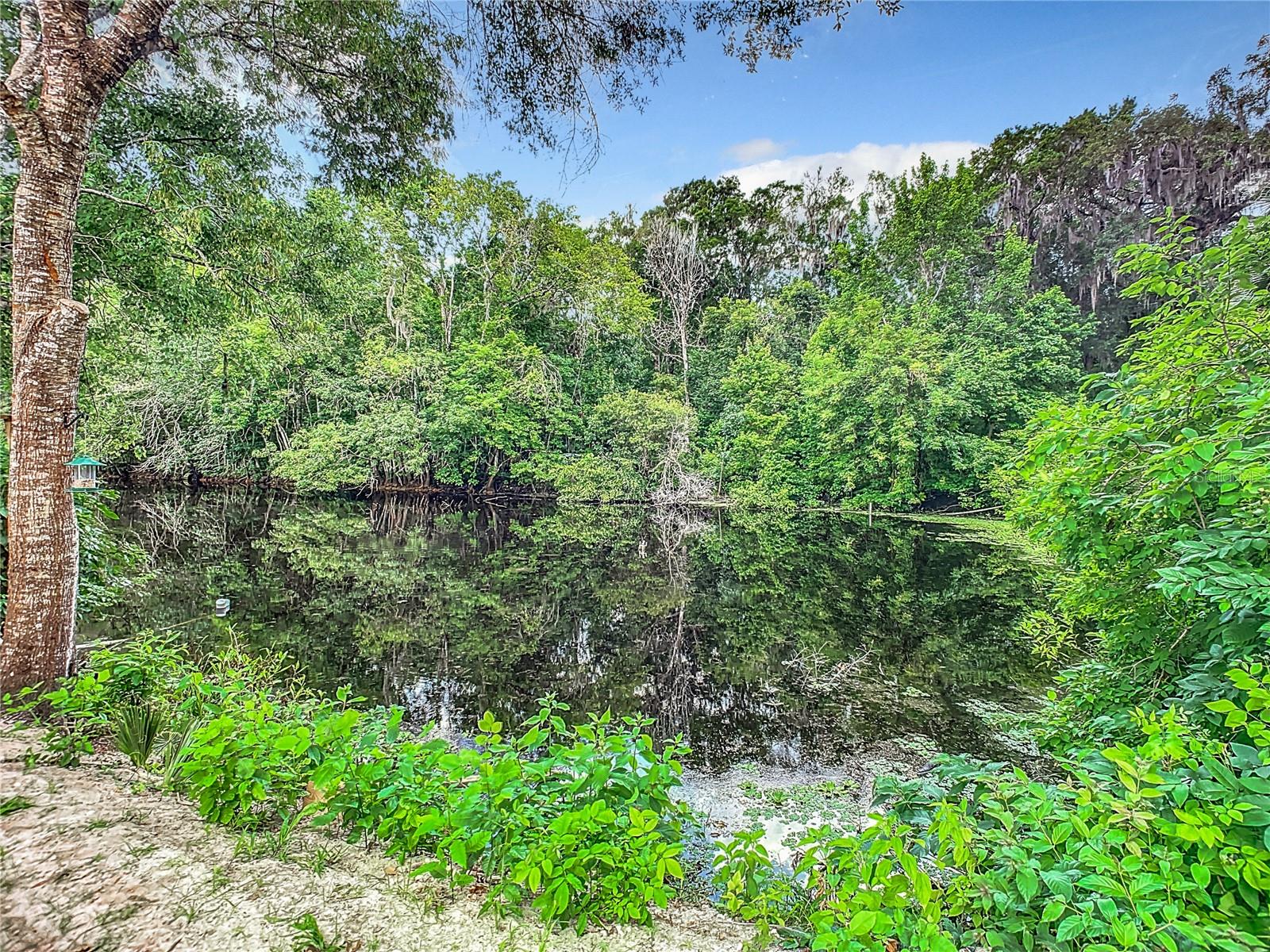 Image 37 of 46 For 24848 Drive No 1