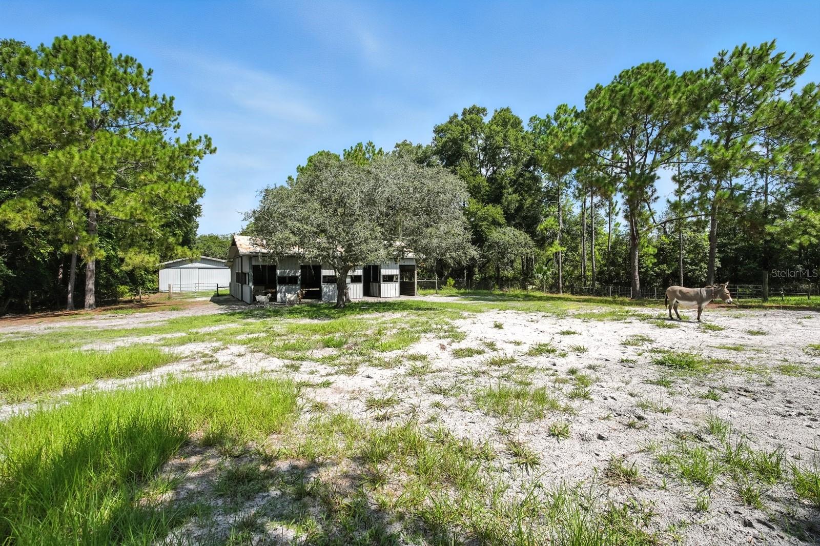 Image 40 of 56 For 29933 Fullerville Road