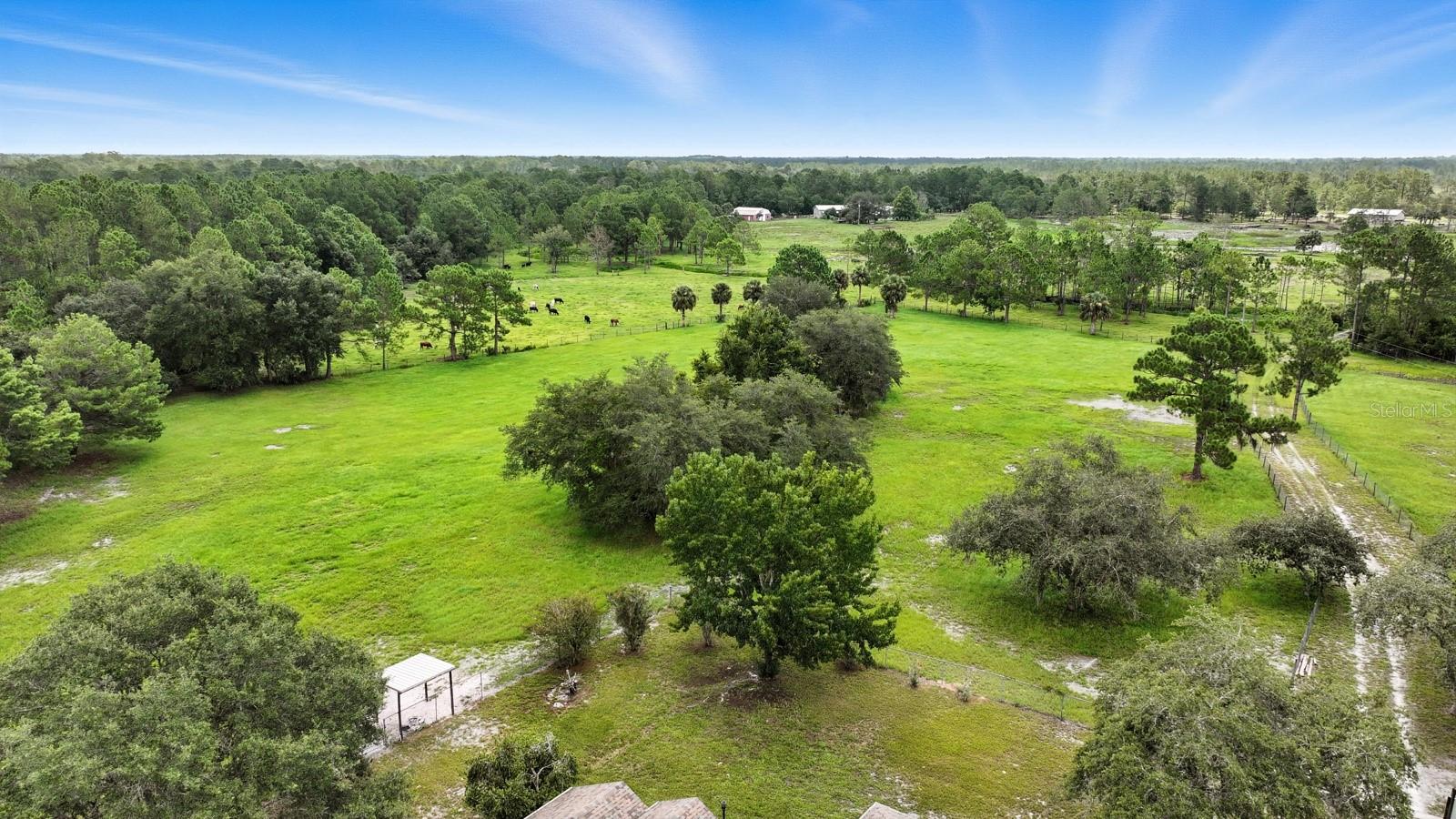 Image 48 of 56 For 29933 Fullerville Road