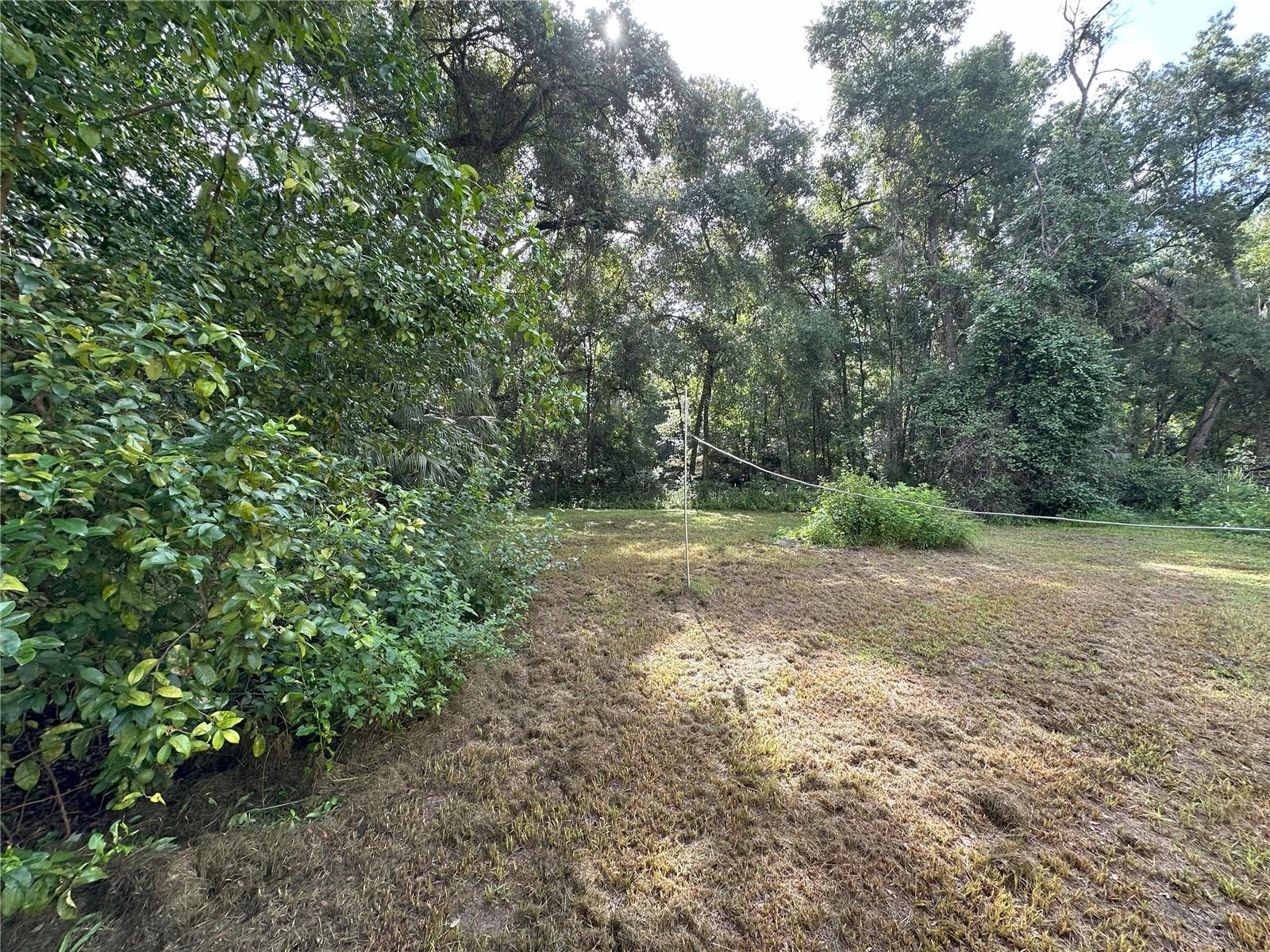 Image 3 of 70 For 16303 75th Street