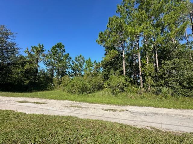 Details for Woodland Avenue, PAISLEY, FL 32767