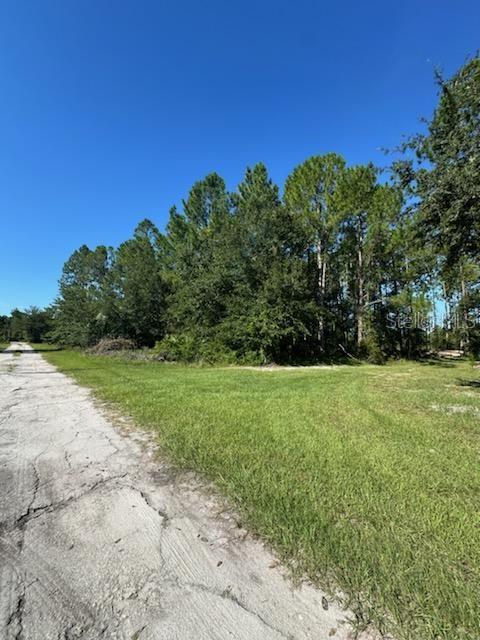 Image 2 of 4 For Woodland Avenue