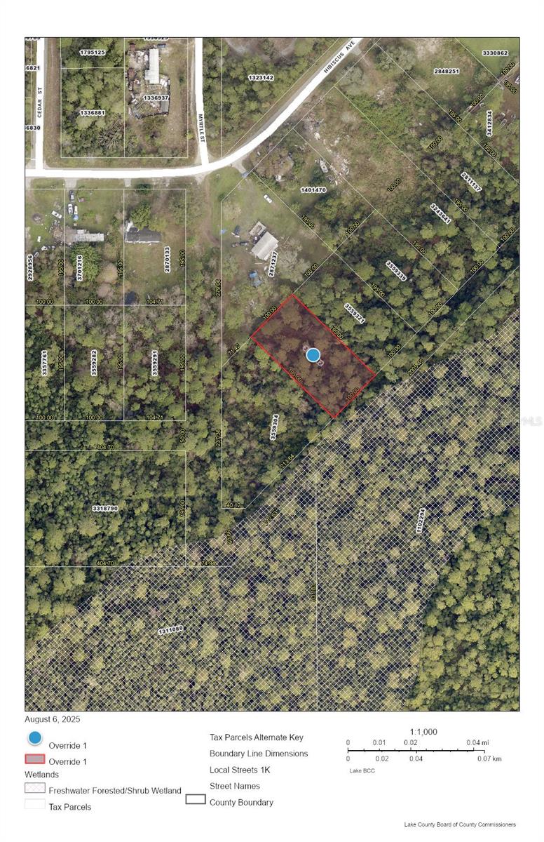 Listing Details for Raccoon Street, PAISLEY, FL 32767