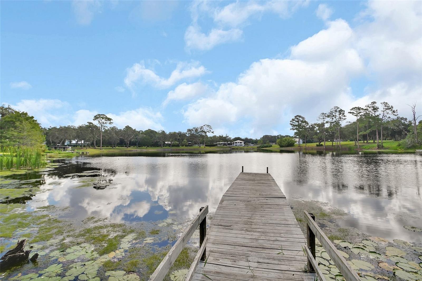 Image 45 of 68 For 2300 Lake Ruby Road