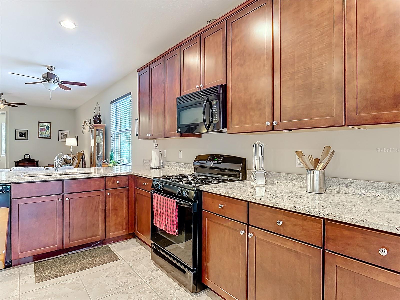 Image 30 of 68 For 231 Wellisford Way