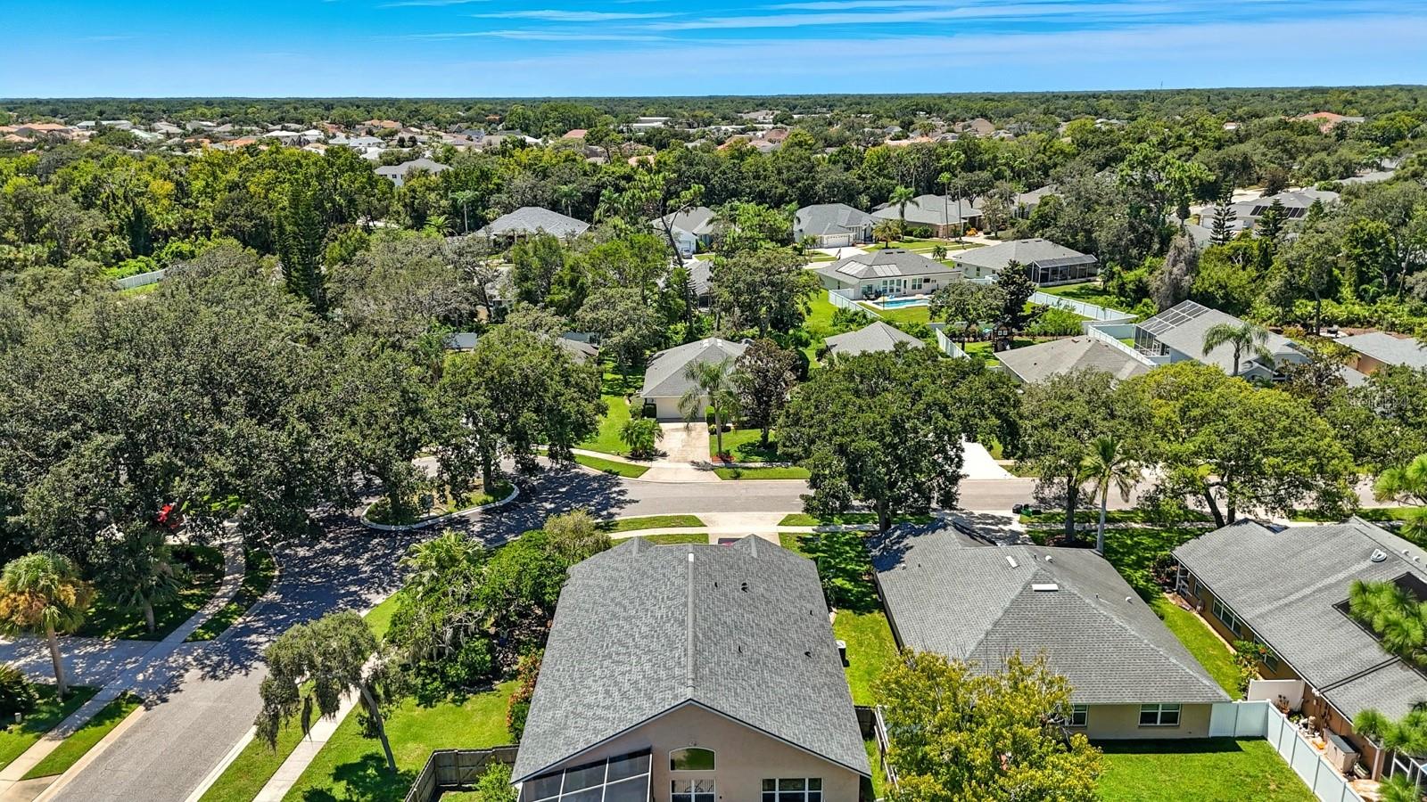 Image 39 of 49 For 6096 Jasmine Vine Drive