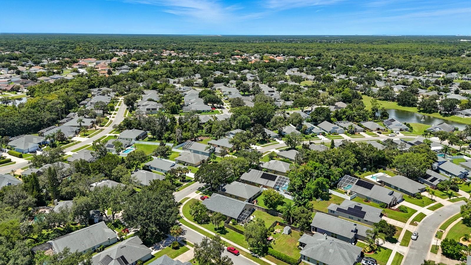 Image 41 of 49 For 6096 Jasmine Vine Drive