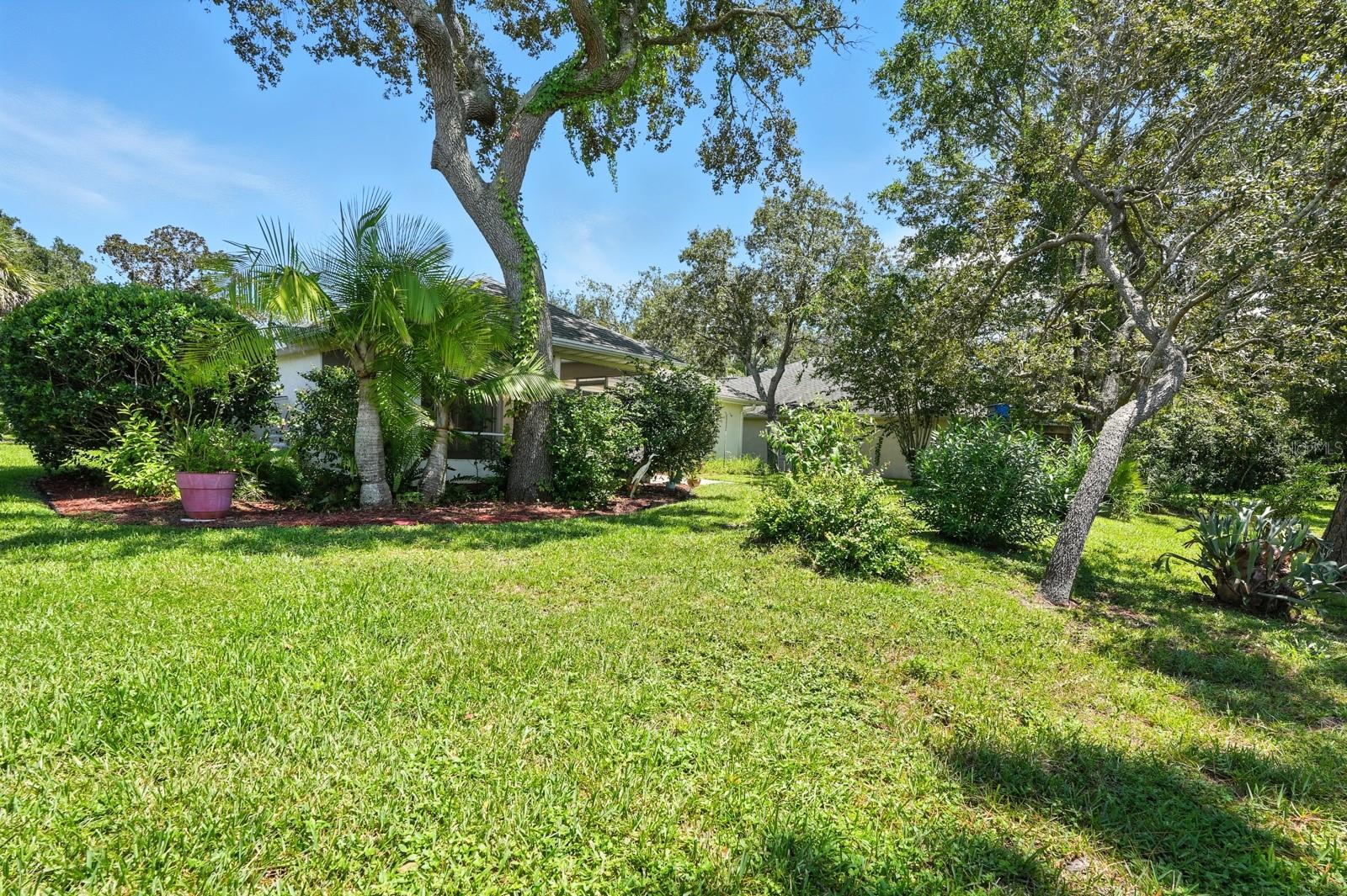 Image 47 of 49 For 6096 Jasmine Vine Drive