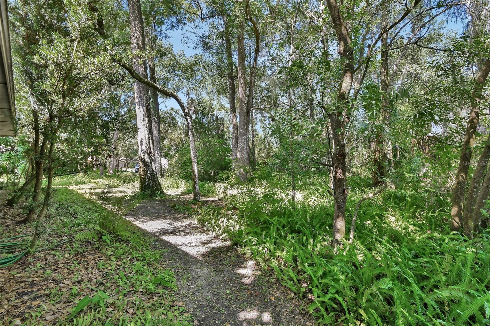 Image 40 of 42 For 63 Fernwood Trail