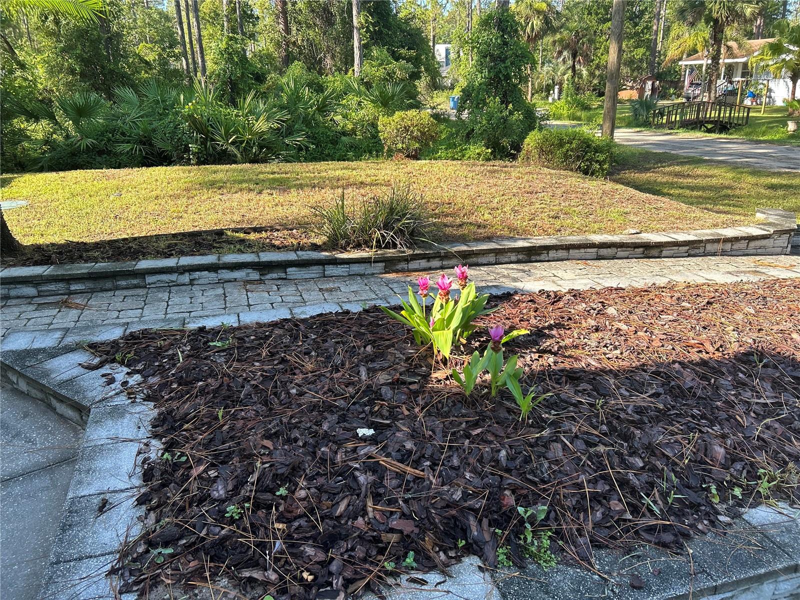 Image 3 of 21 For 1659 11th Avenue