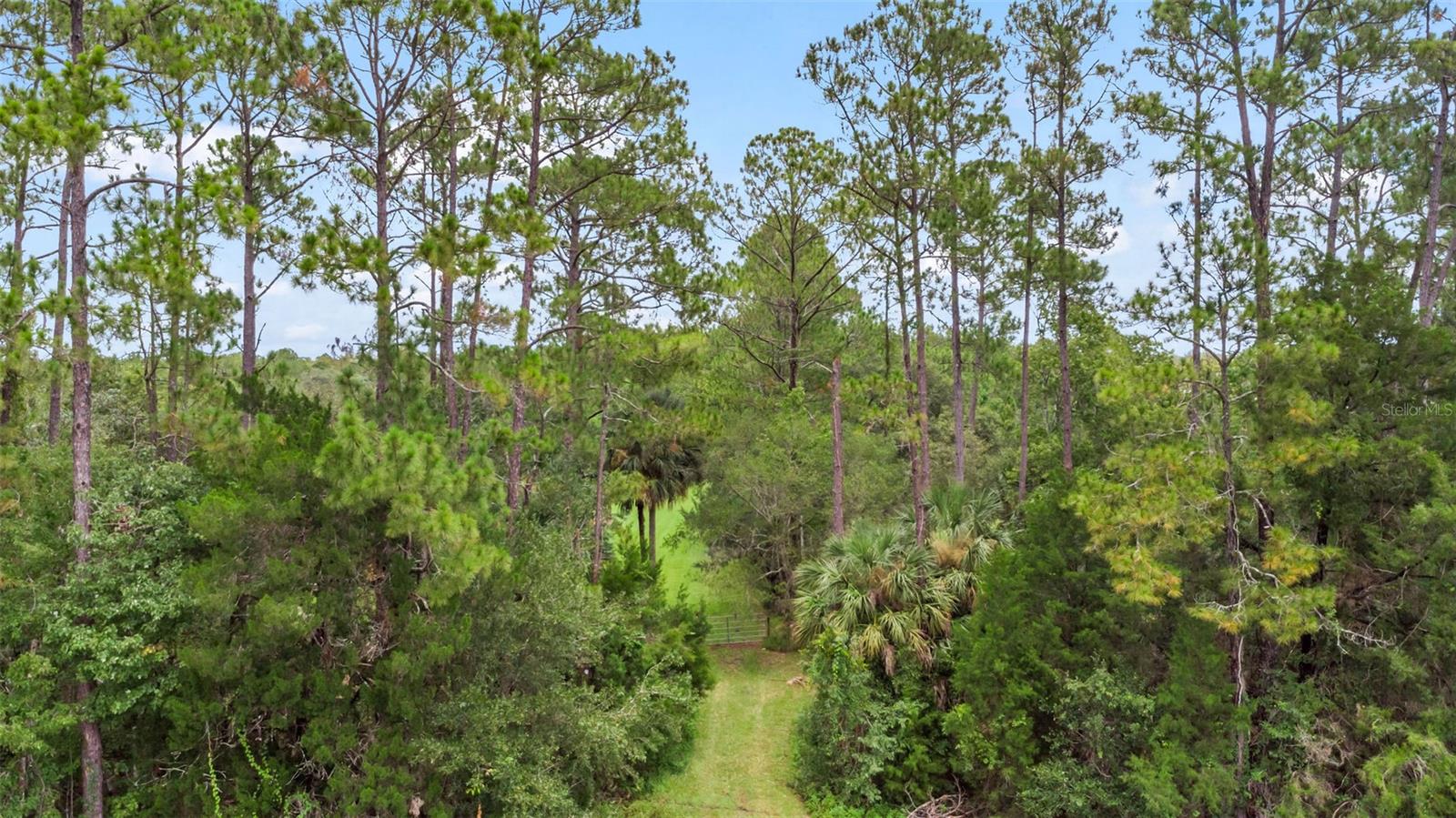 Image 8 of 36 For 0 Fl 11  