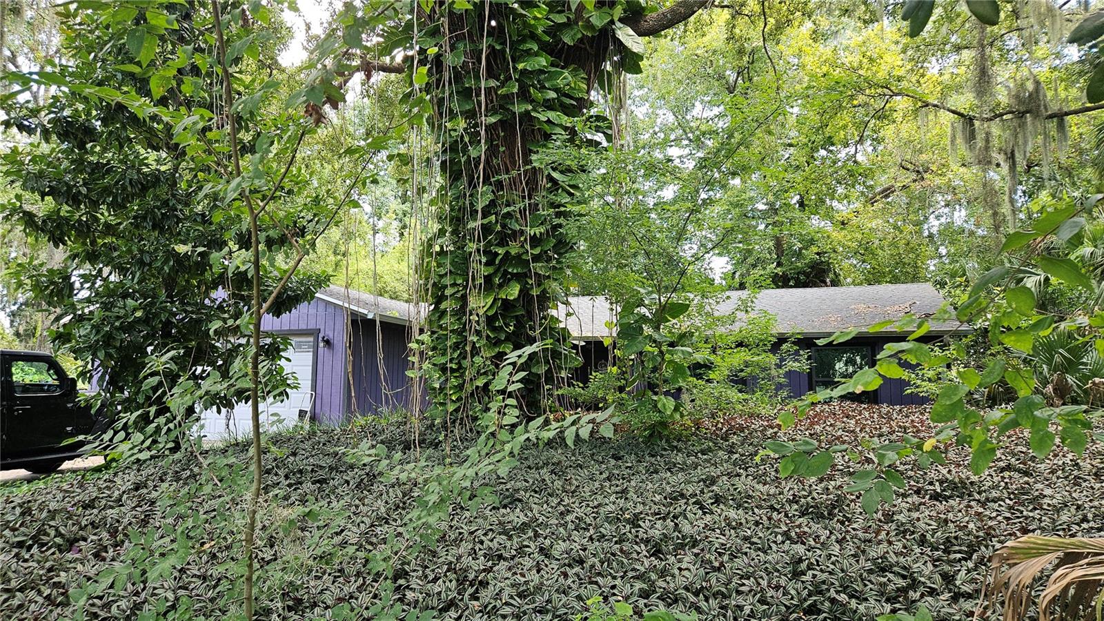 Image 2 of 7 For 2929 Woodland Drive