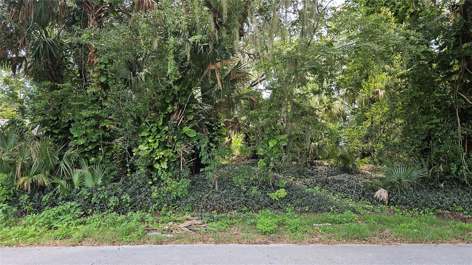 Image 3 of 7 For 2929 Woodland Drive