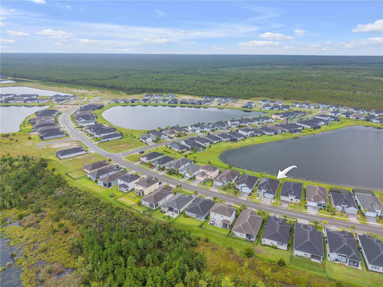 Image 60 of 63 For 195 Azure Mist Way