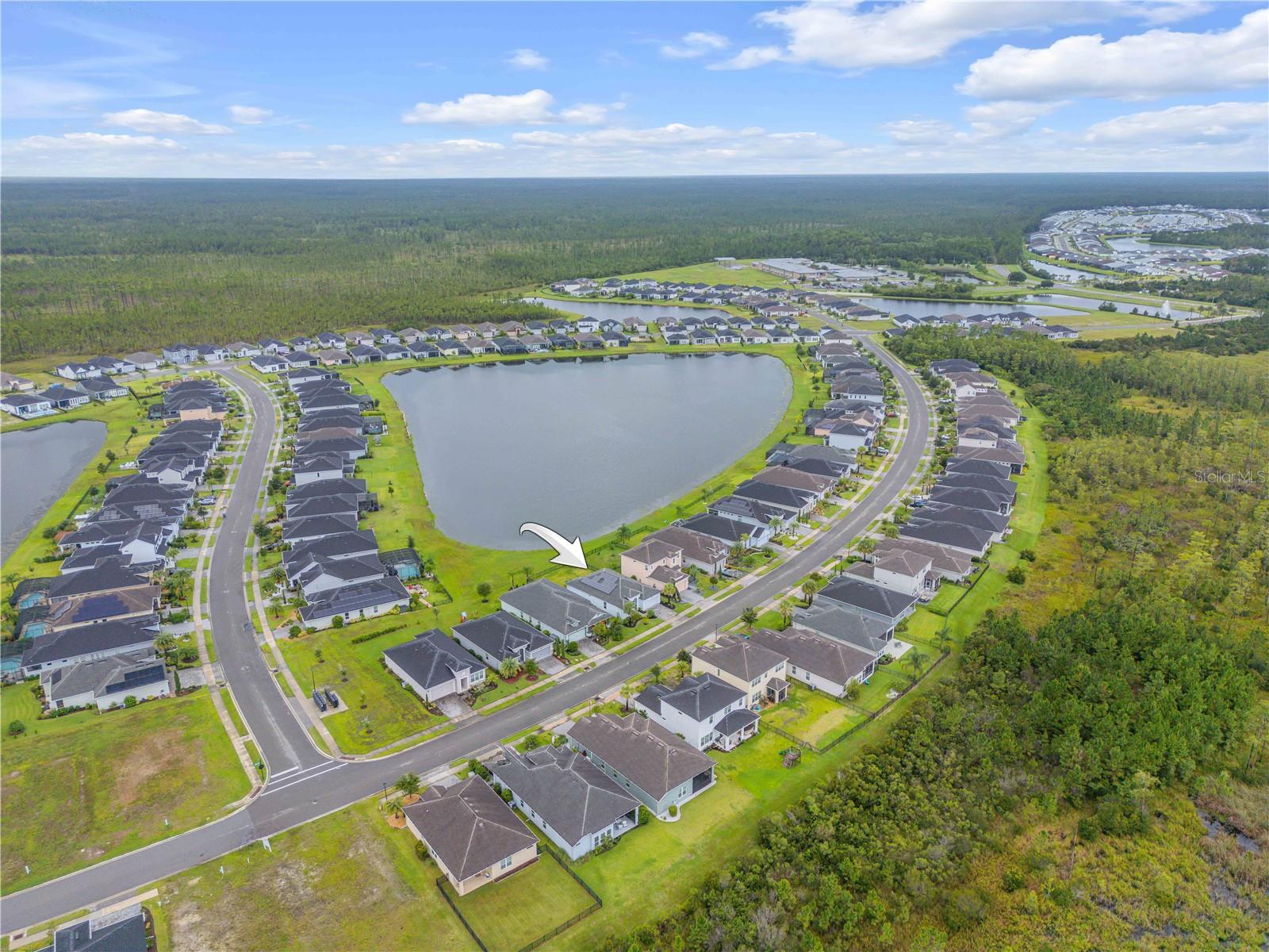 Image 61 of 63 For 195 Azure Mist Way